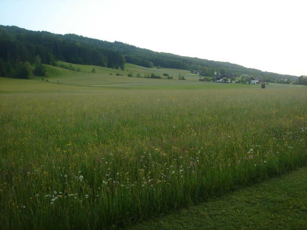 Pension Anna Mondsee Buitenkant foto